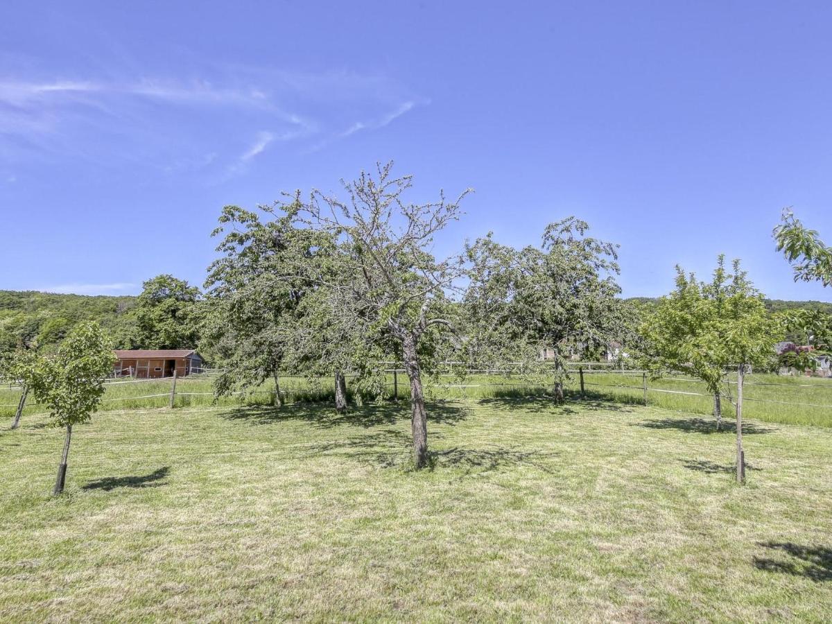 Burgundian Farmhouse In Talon With Fireplace Esterno foto
