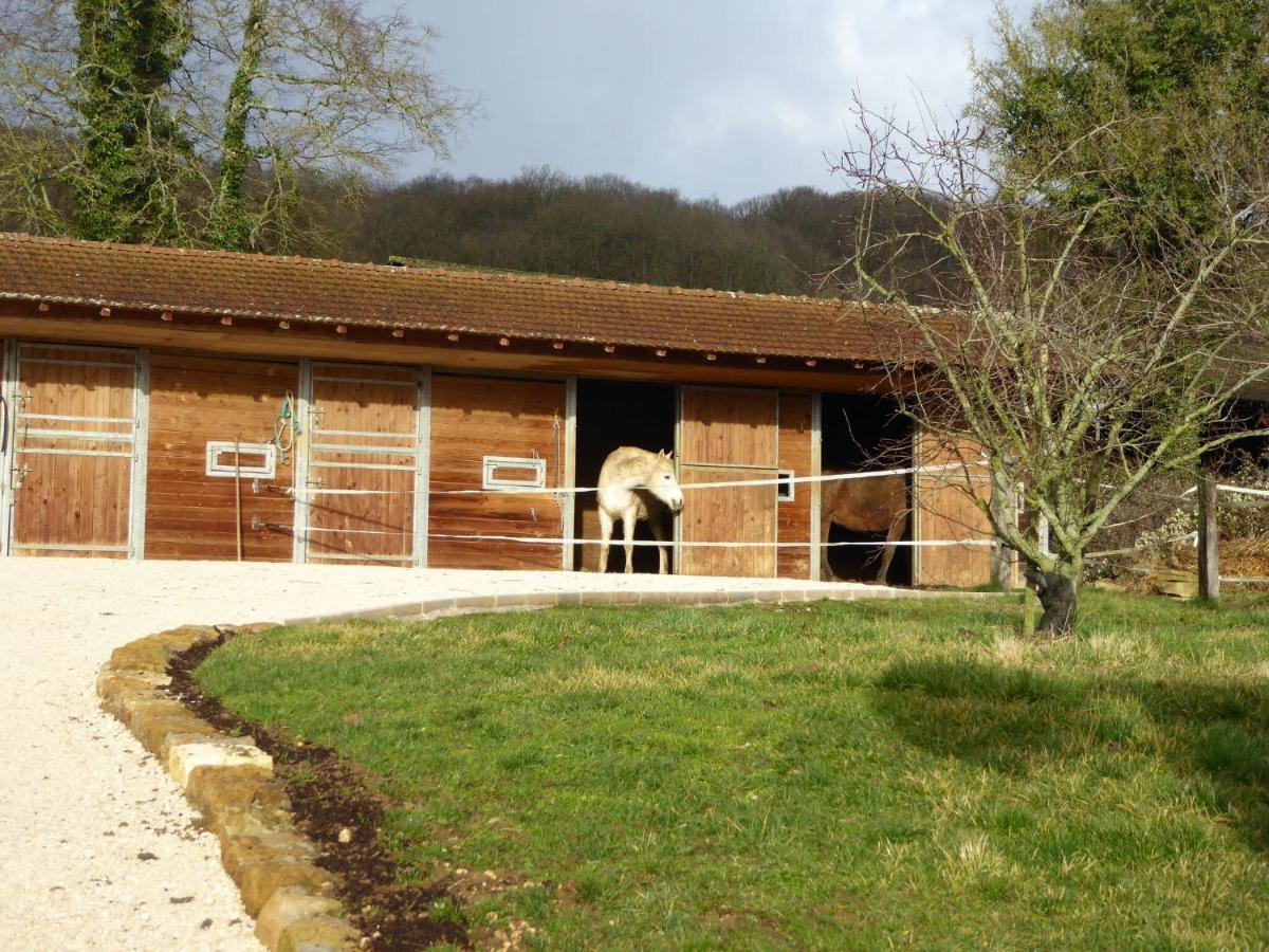 Burgundian Farmhouse In Talon With Fireplace Esterno foto